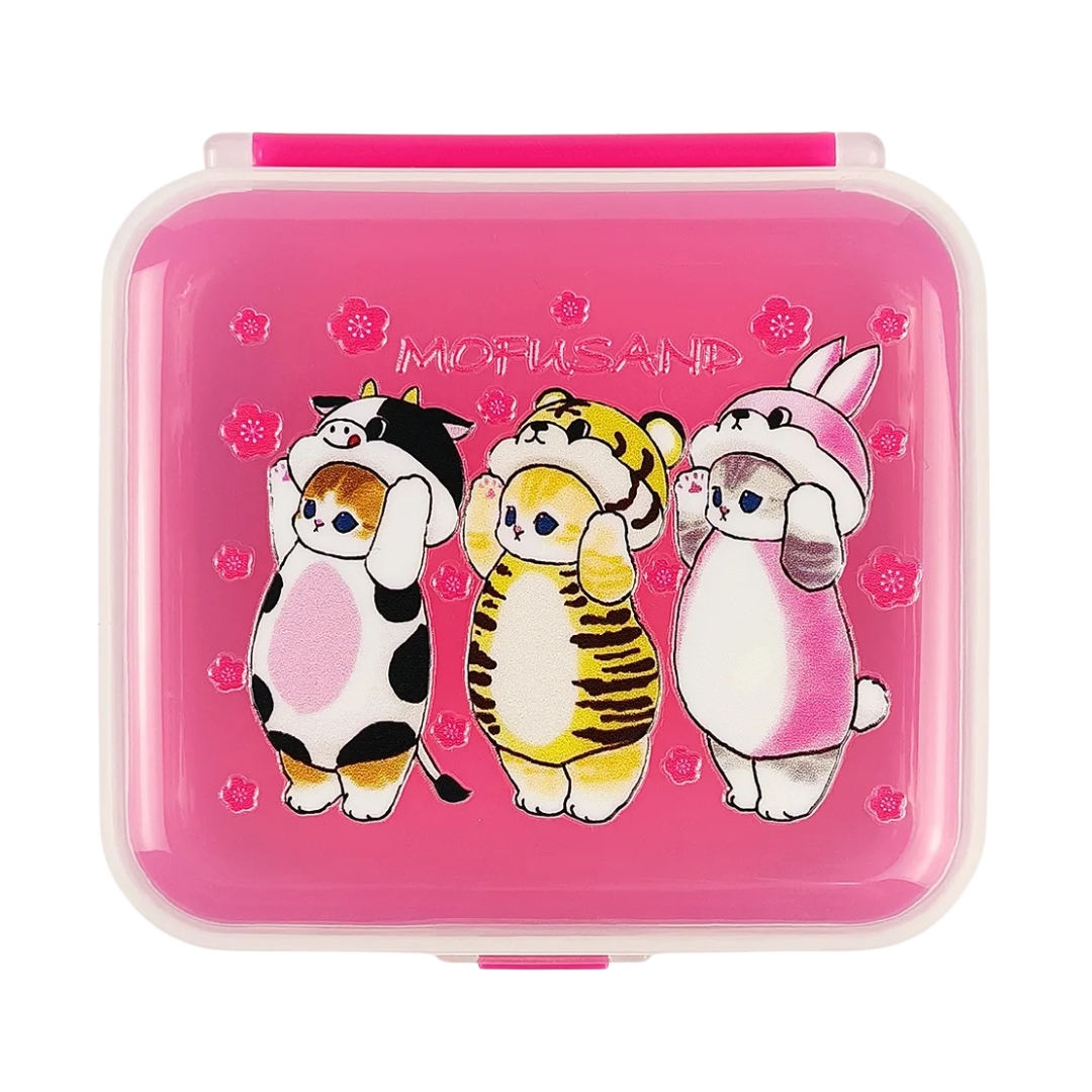 Colorful lunchbox