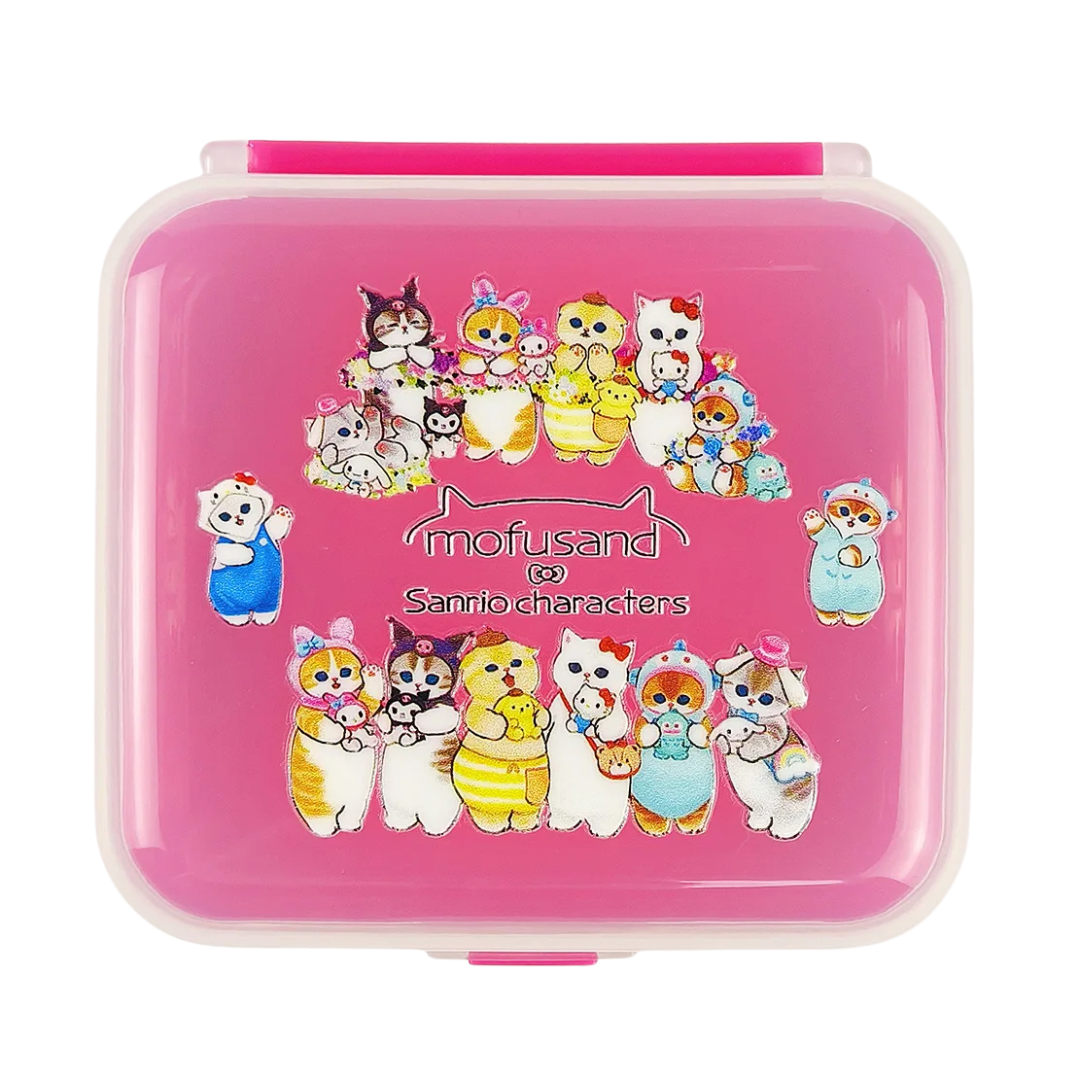 Colorful lunchbox